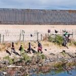 migrantes 2c13eebd focus 0 0 360 276 Tt5eIU