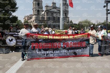 38c84a5ca30ef9a8fbd7a8f467bfd231 XL fJcQbf