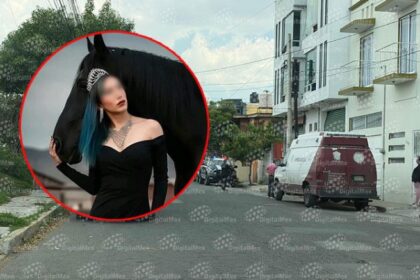 838e09788add2ab2d96723daf41c7c92 XL j6rIqn