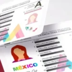 descarga