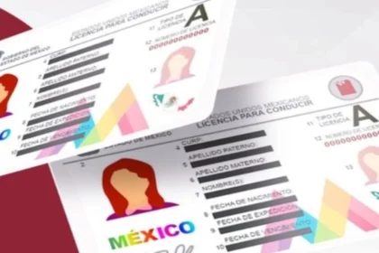 descarga