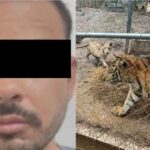 detenido1 bc3cb7be focus 0 0 360 276 q2WFX4