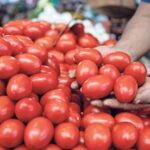 tomate ea558194 focus min0.02 0.21 360 276 K4V5PD