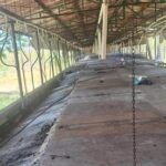 yucatan 5abfc641 focus 0 0 360 276 RF5G5e