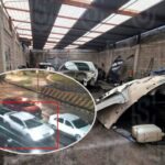 52c1a7c974f68792ca97c759878098d3 XL iBewbv