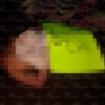 d3eae36bdb423c81f88034f4225e2963 XL RiAqNG