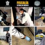 df59b8789e06cd87ab05155f6cf44c0e XL SiTgi1