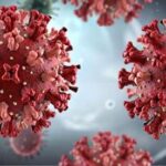 hantavirus 4fa351f6 focus 0 0 360 276 inYEY9