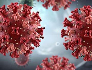 hantavirus 4fa351f6 focus 0 0 360 276 inYEY9