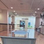 hospital 13a999aa focus 0 0 360 276 eJlUha