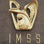 imss c090c076 focus 0.08 0.24 360 276 ApB8CP