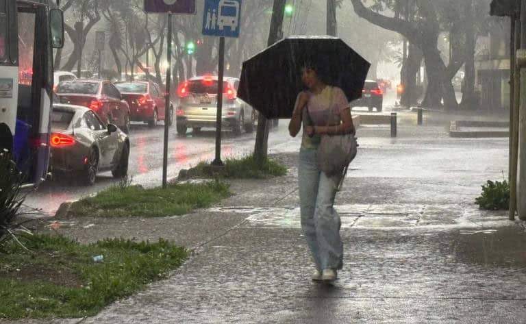 lluvias da2db9ad F29rTp