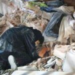 mexico ofrece apoyo a venezuela tras terremotos2 9dfb0530 focus 0 0 360 276 1nMmFU