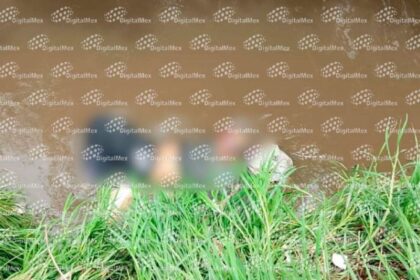 1da2b188cd7df47b4a5d106e321b969e XL ahgGlR