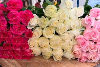7ea80a787f8c7d669da67afa7b32eec5 XL CSoLdr