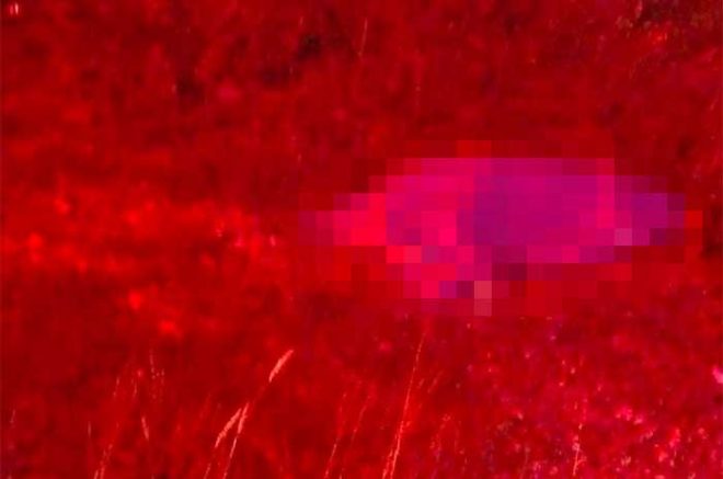 a09e1d0bf57970fb5f0f1aa9e64474c8 XL VeuoQU