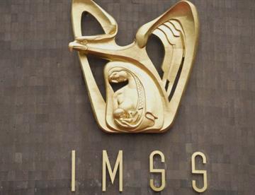 imss f95cbd85 focus 0.08 0.22 360 276 nd1k7B