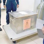 liberan primer lote de moscas esteriles contra gusano barrenador focus 0 0 360 276 p793n3