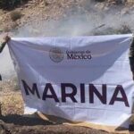 marina 46a2b2ed focus 0 0 360 276 QZIAQd