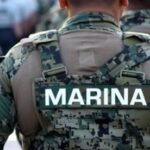 marina 7ebeefa0 focus min0.07 min0.17 360 276 zn9KCK