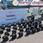 marina 926ac205 focus 0 0 360 276 GN0pM8