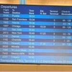 vuelo d1dd1c06 focus 0 0 360 276 NJ3tQj