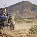 agricultura focus 0 0 360 276 GLbUR2