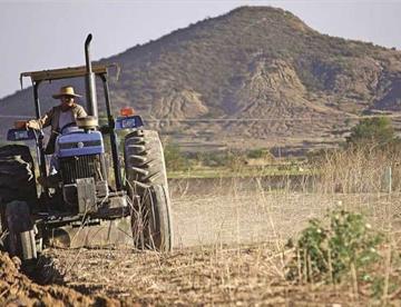 agricultura focus 0 0 360 276 GLbUR2