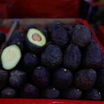 aguacate3 focus 0.08 0.09 360 276 Le5d9q