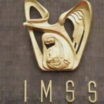 imss focus 0.04 0.11 360 276 Zsp3pl