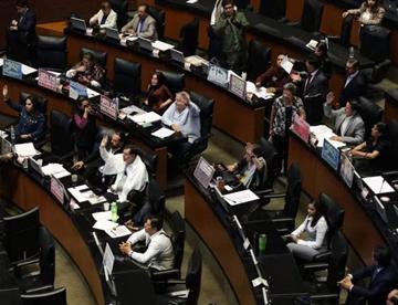senado focus 0 0 360 276
