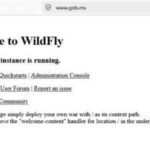 webgris focus 0 0 360 276 5sFYmC