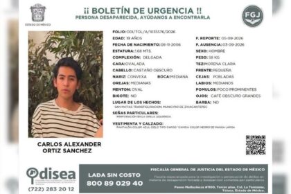 17c413ca78697d0787b5ac1a376de3a6 XL m8EG22
