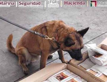alerta focus 0 0 360 276 bPDOhR