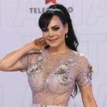 maribel focus 0 0 360 276 GDS4h7
