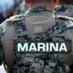 marina focus 0 0 360 276 U1YPyl