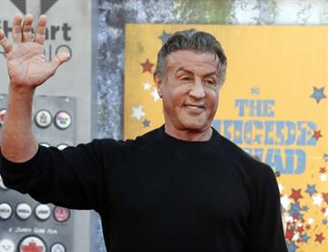 stallone 1 focus 0.24 0.5 360 276