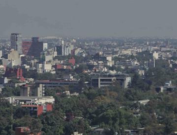 cdmx1 focus 0 0 360 276 FE2gng