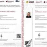 certificado focus 0 0 360 276 SJG9FH