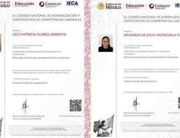 certificado focus 0 0 360 276 SJG9FH