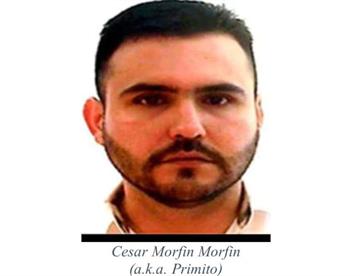 cesar1 focus 0 0 360 276