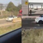 f33e8cf952926b832b2b808c7c669cf4 XL Cs5ArN