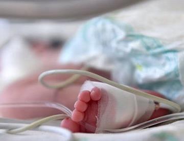 recien nacido bebe hospital focus 0.11 min0.37 360 276 aHTeu1