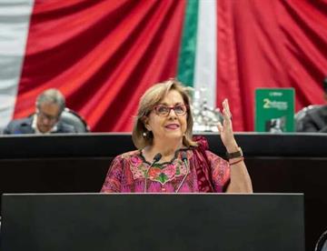 senadora focus 0 0 360 276